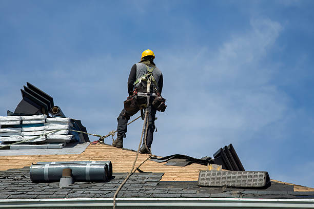 Professional Flat Roof Repair technician working in Viola, IL